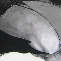 Des nus
