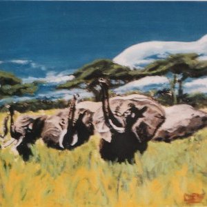 Élephants