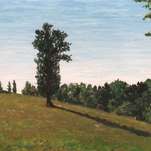 Arbre - Périgord