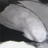 Des nus
