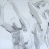 Des nus à l'encre
